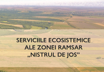 Servicii ecosistemice a Zonei Ramsar Nistrul de Jos